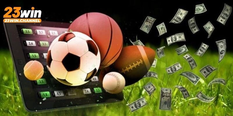 23win mang đến các kèo cược thể thao chất lượng